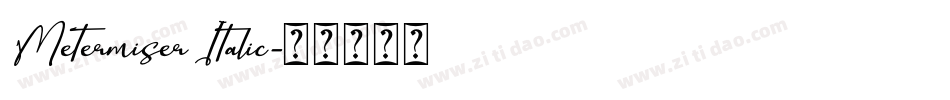 Metermiser Italic字体转换